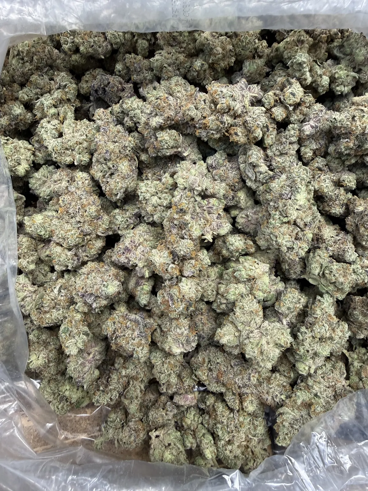 Gmo Flower